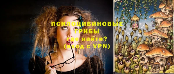 ГАЛЛЮЦИНОГЕННЫЕ ГРИБЫ Алзамай