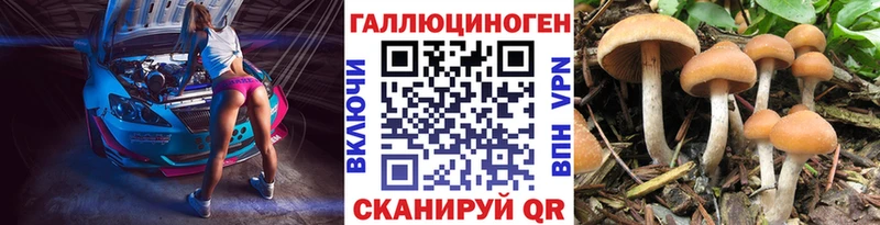 Псилоцибиновые грибы Psilocybine cubensis  Чёрмоз 